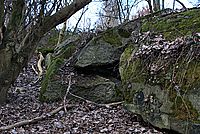 Bernhard Saalfeld - DSC05257 -1.jpg